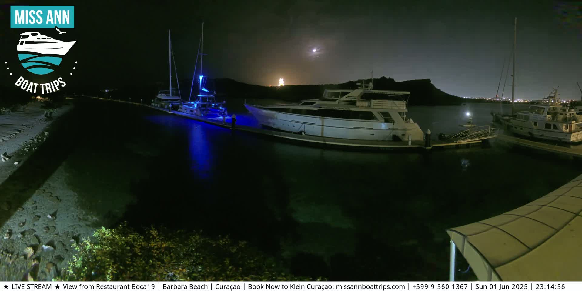 Several boats are docked at a marina at night under a mostly clear sky with a bright moon.