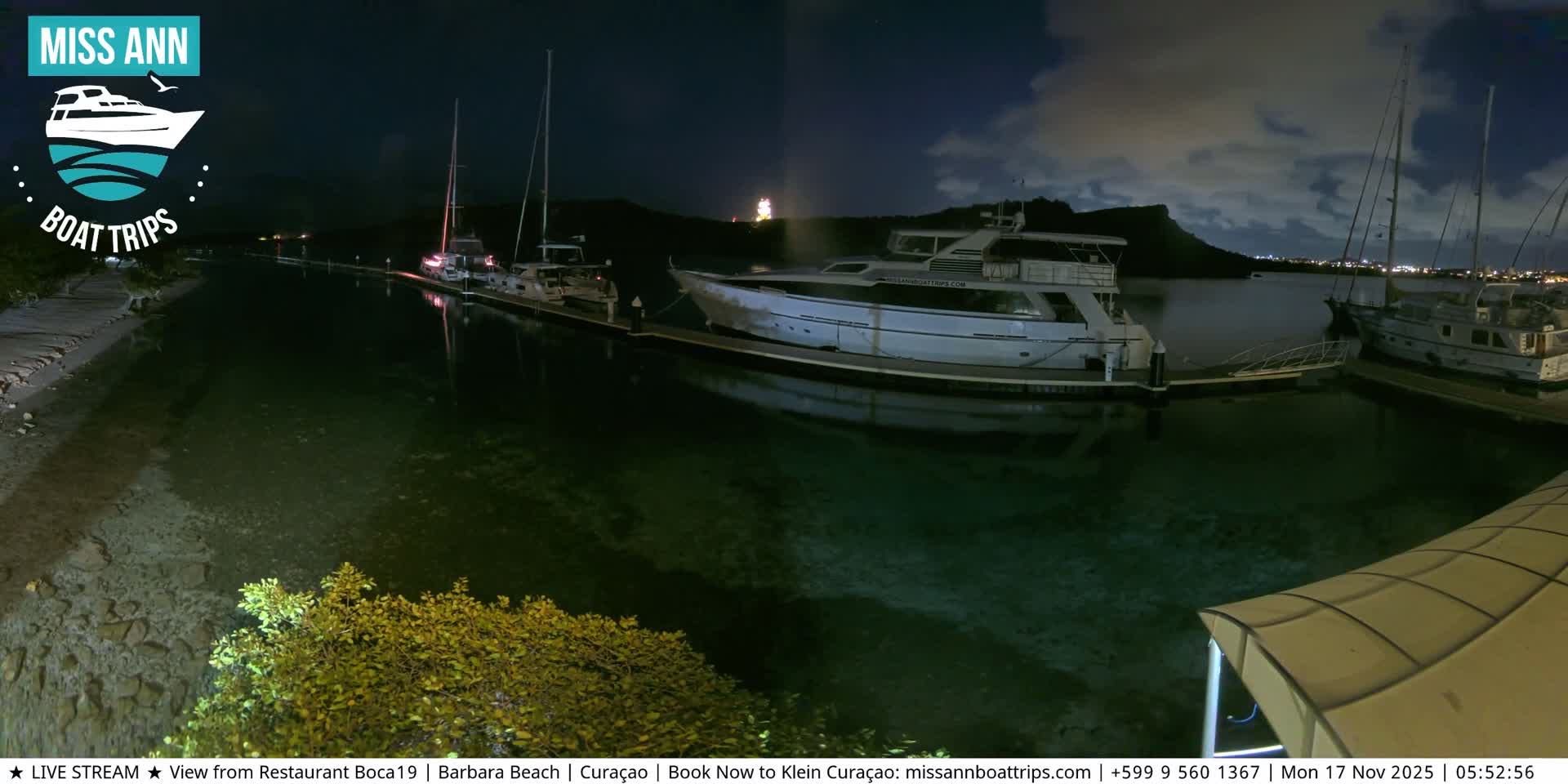 A tranquil marina is depicted at night with several boats docked along piers in calm, clear water, reflecting distant city lights under a partly cloudy sky.