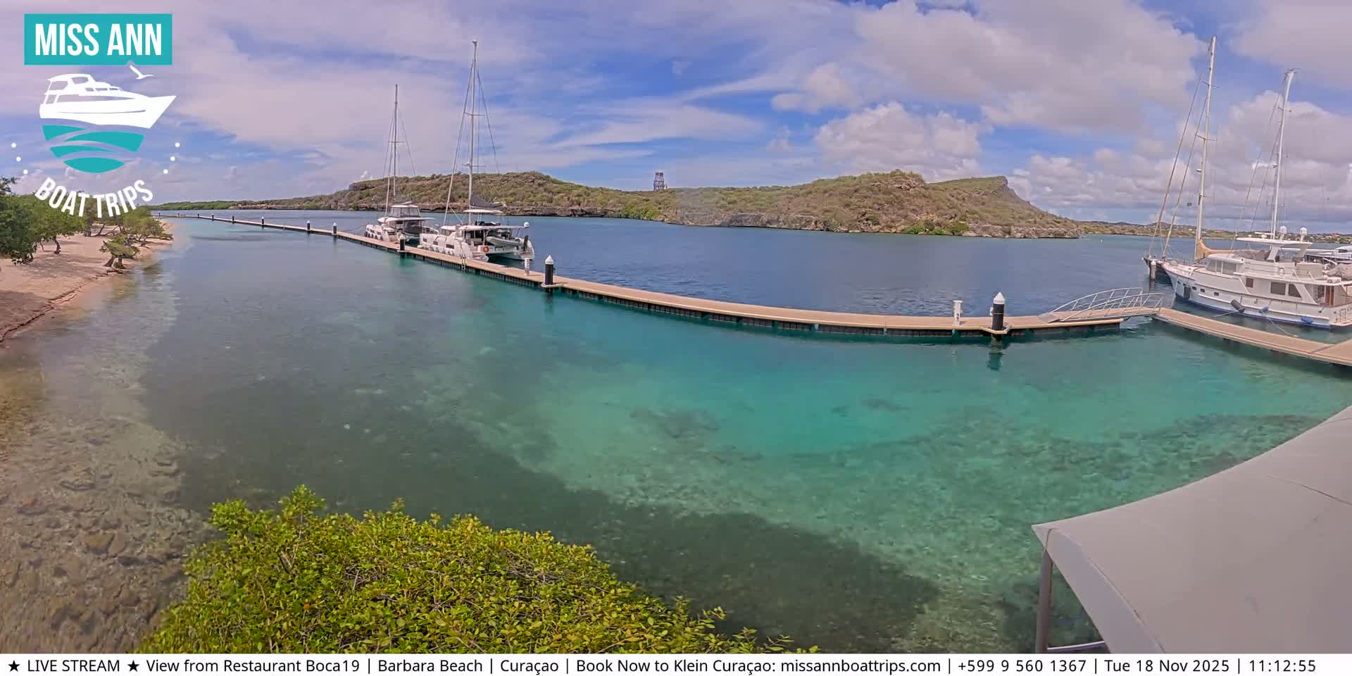 A tranquil marina is depicted at night with several boats docked along piers in calm, clear water, reflecting distant city lights under a partly cloudy sky.