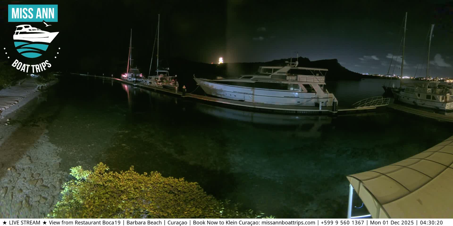 The image displays a clear night at a calm marina, featuring several boats docked along illuminated waters with city lights visible in the distant background under a partially cloudy sky.