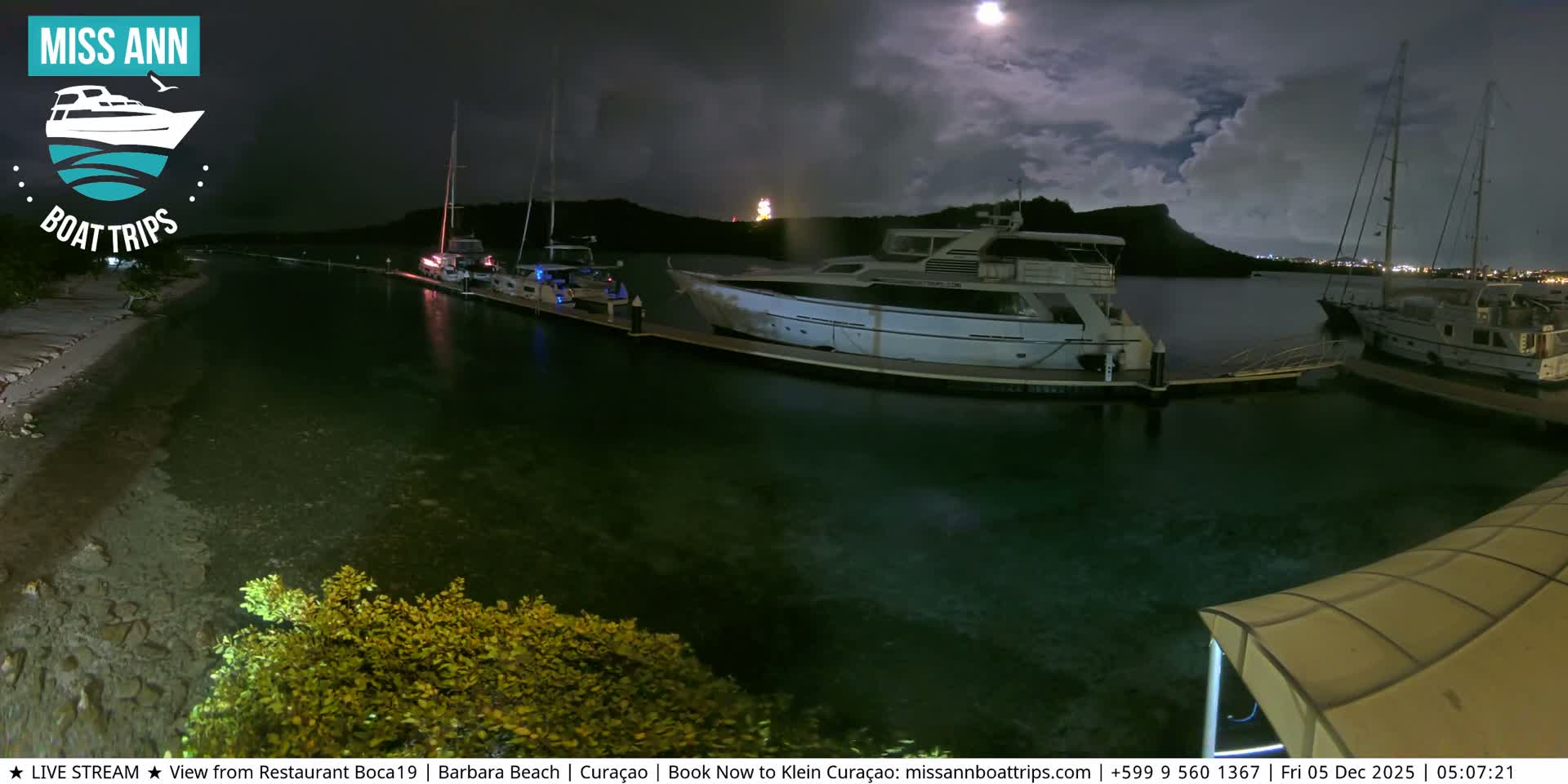 A tranquil night scene at a marina captures several boats docked in clear, green-tinted water under a cloudy sky with a visible moon, alongside an illuminated shoreline and distant city lights.