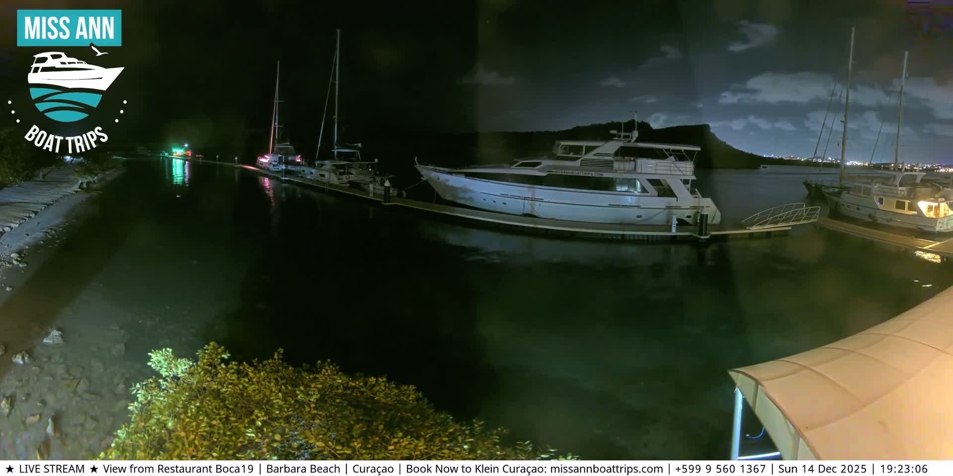 A tranquil night scene at a marina captures several boats docked in clear, green-tinted water under a cloudy sky with a visible moon, alongside an illuminated shoreline and distant city lights.