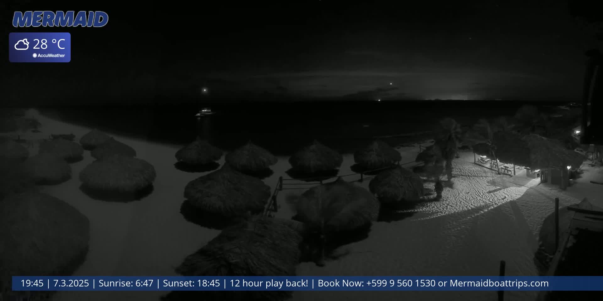 A nighttime beach scene shows several dark thatched umbrellas on a sandy beach next to a calm, dark ocean under a clear, starry sky.