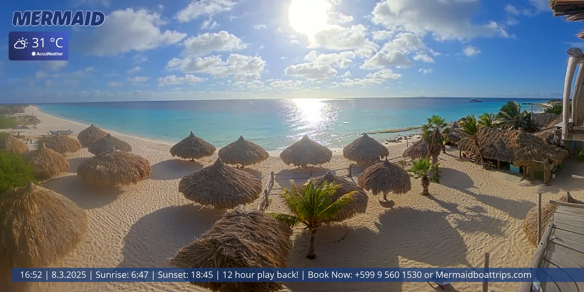 A sunny, 31°C day at a beach with turquoise water, numerous thatched-roof beach umbrellas, and palm trees.