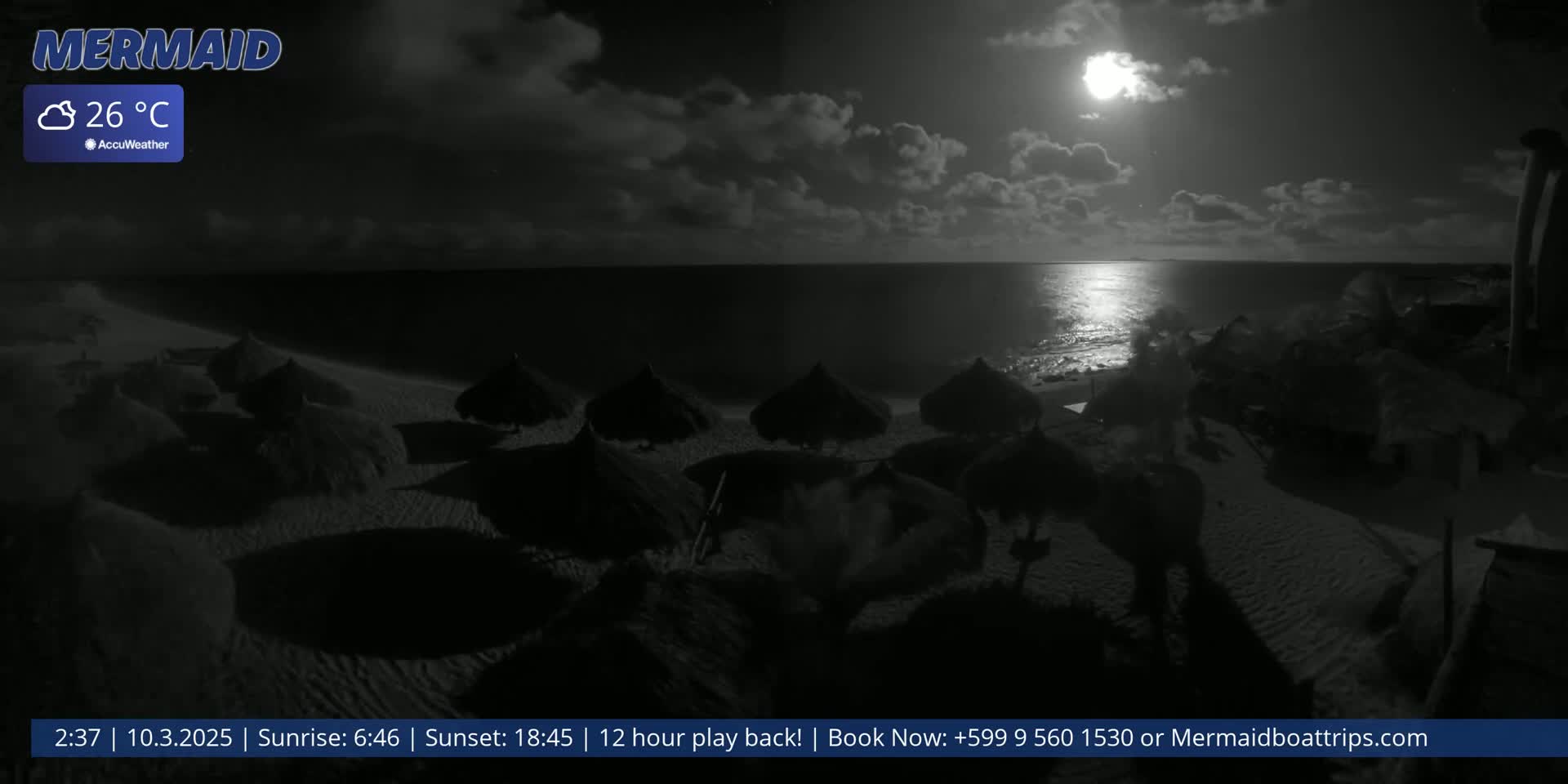 A nighttime beach scene under a bright moon and cloudy sky shows several dark beach umbrellas on a sandy shore near a calm ocean.