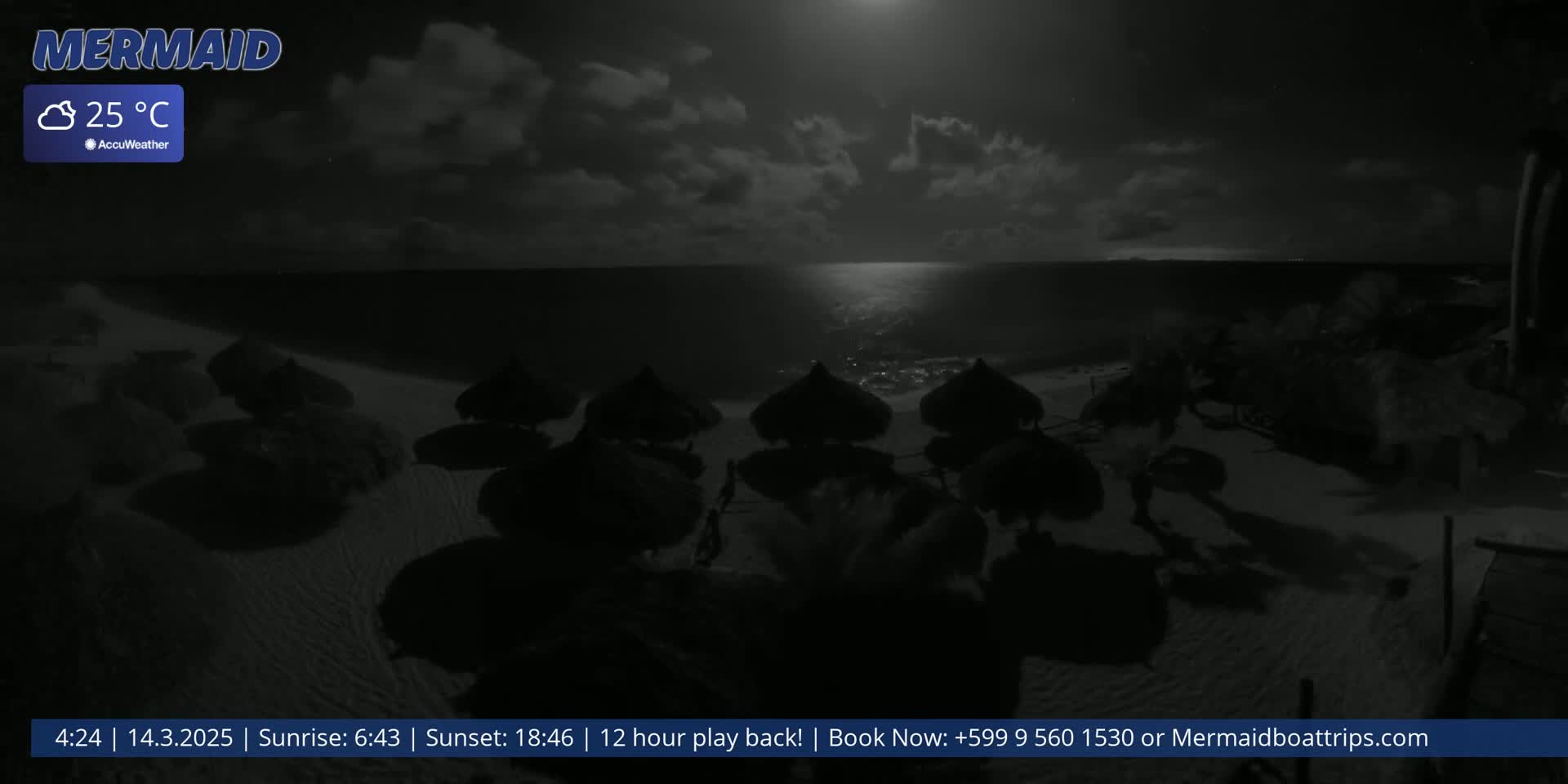 A nighttime beach scene under a partly cloudy sky shows several dark, thatched umbrellas on a sandy shore next to a moonlit ocean.