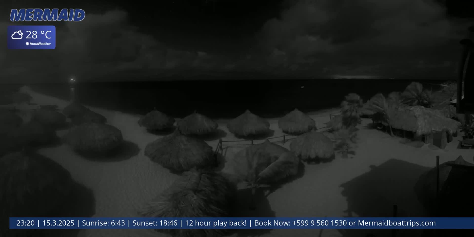 A nighttime beach scene shows several thatched umbrellas on the sand, with palm trees and a dark ocean in the background under a partly cloudy sky.