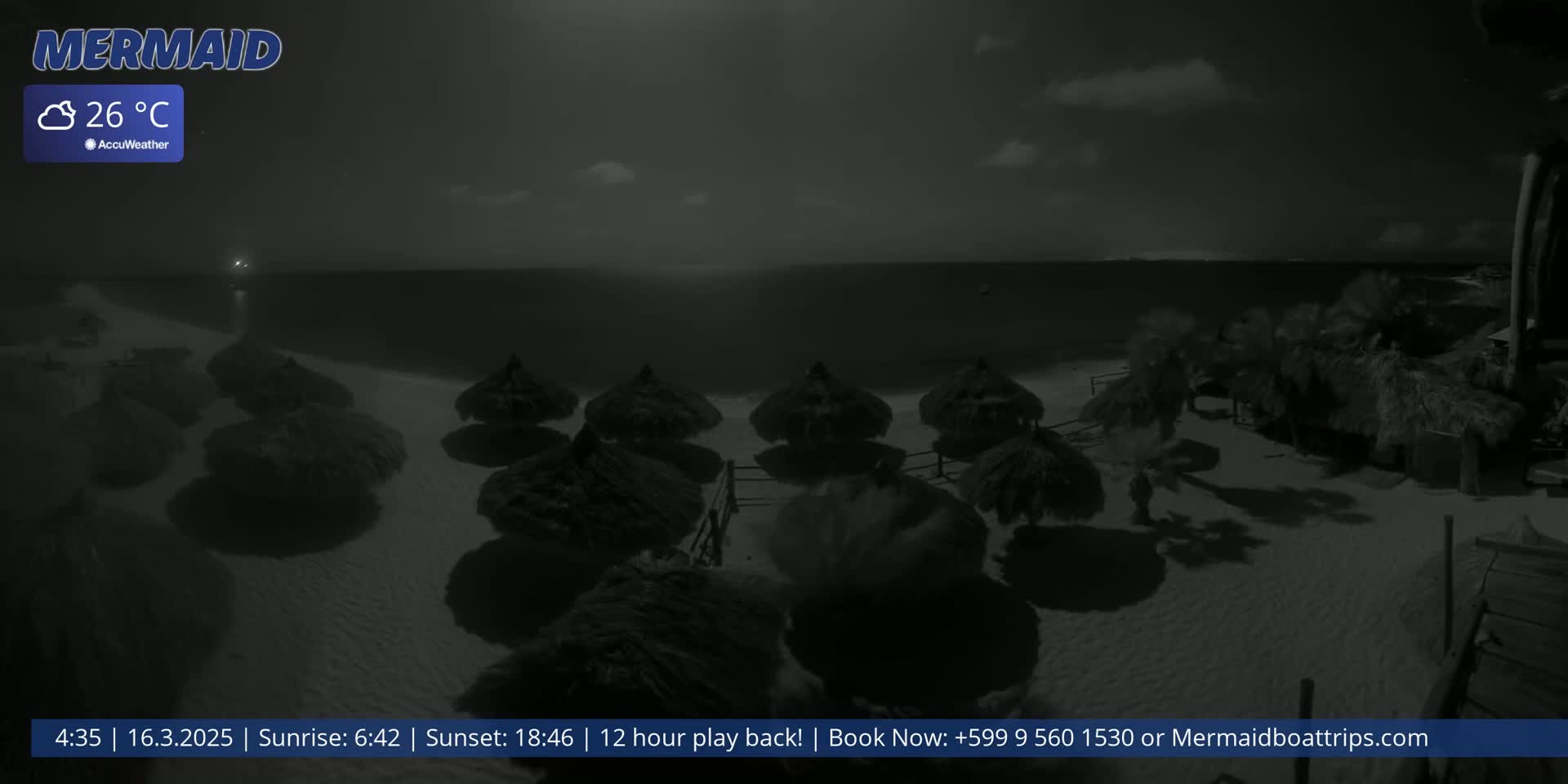 A nighttime beach scene under a partly cloudy sky shows several thatched-roof umbrellas on the sand near palm trees and a calm ocean.