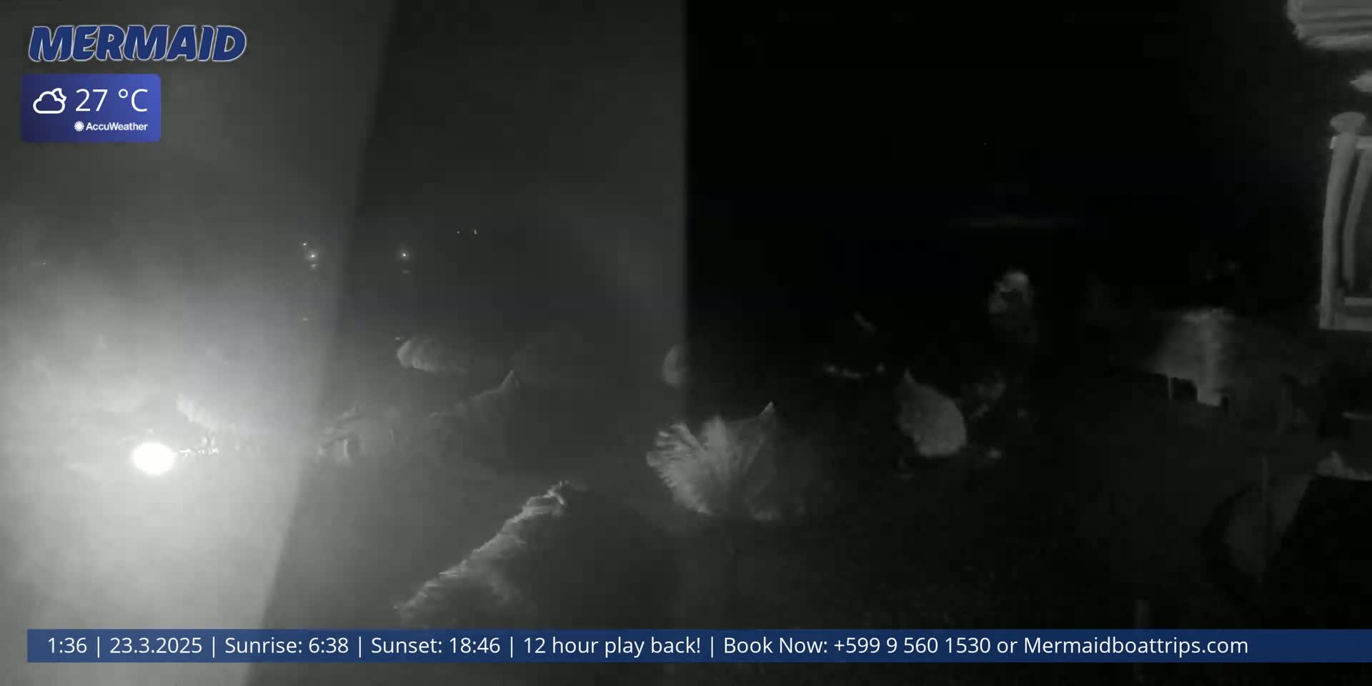 A nighttime, foggy scene shows several indistinct figures illuminated by a light source.