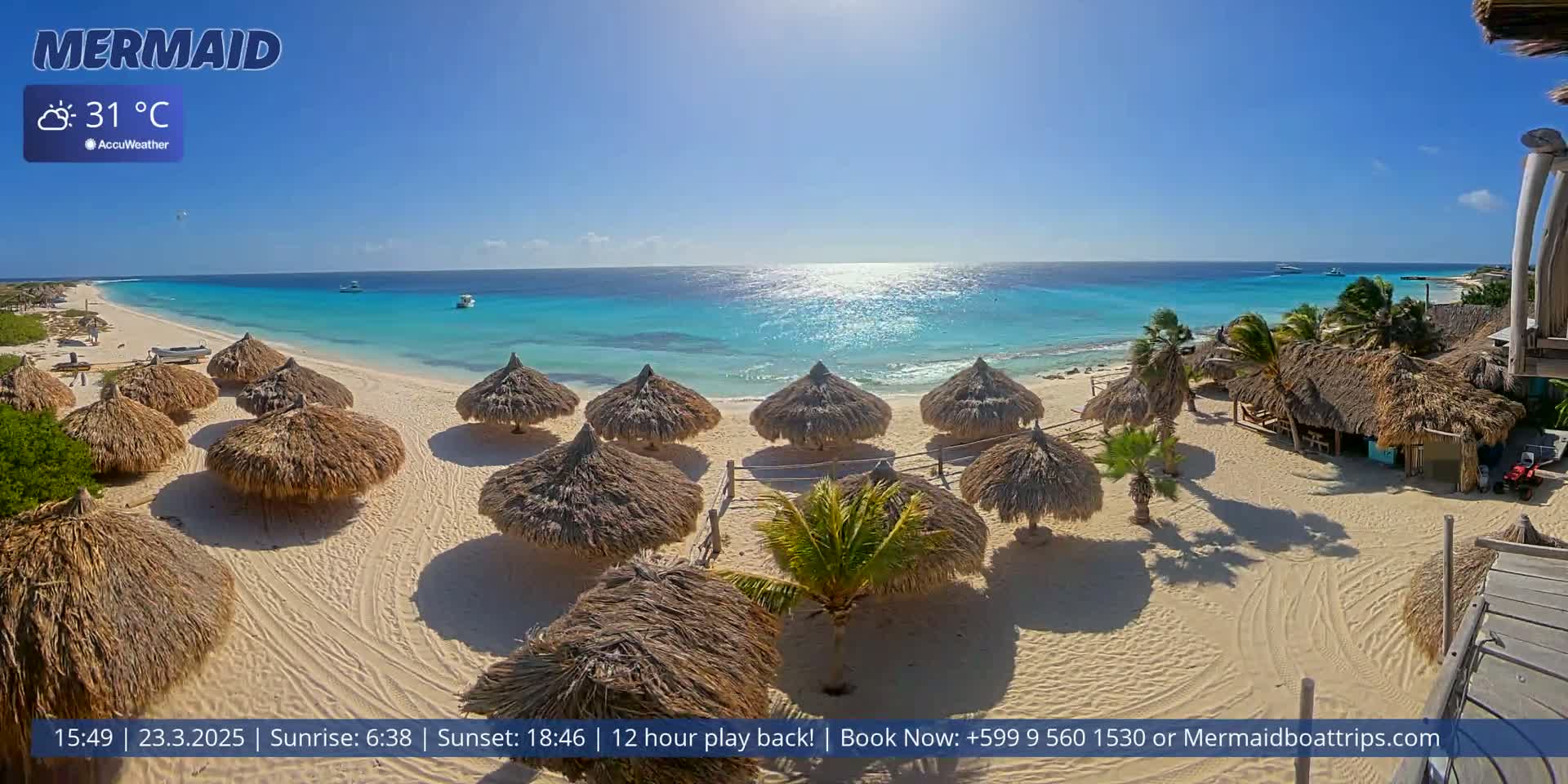 A sunny beach with numerous thatched-roof umbrellas, palm trees, and turquoise water under a clear blue sky.