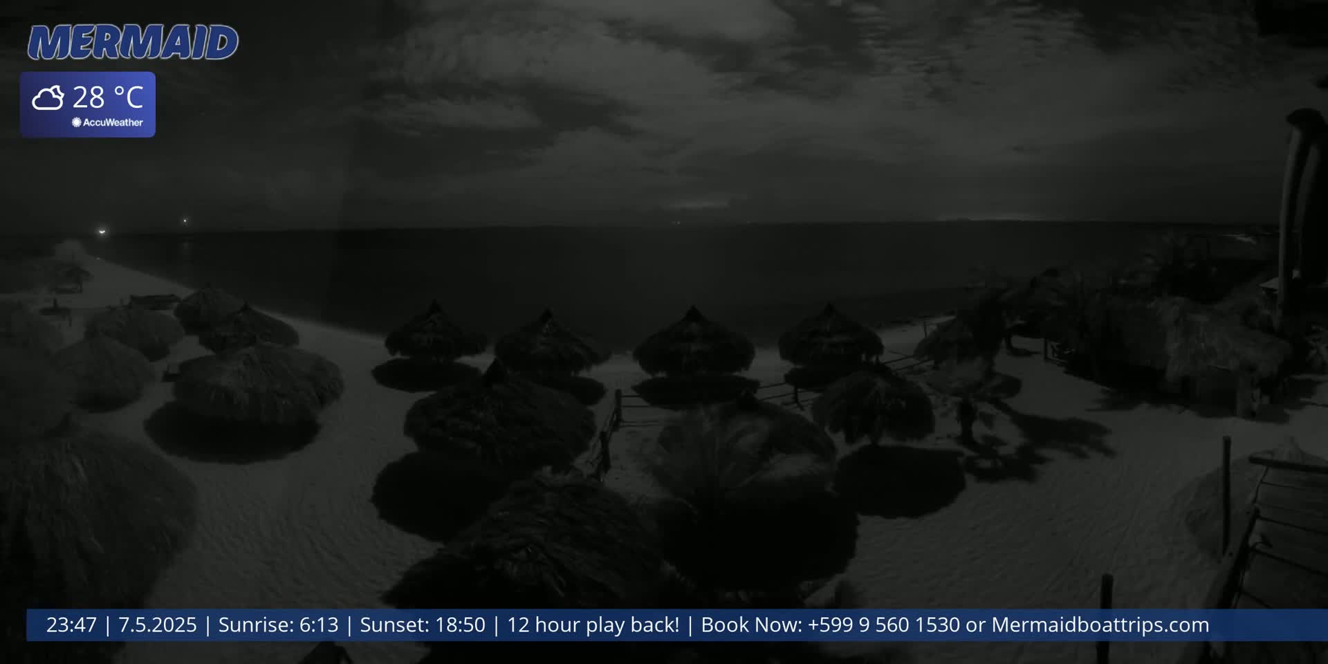 A nighttime beach scene shows numerous dark beach umbrellas on a sandy shore under a mostly cloudy sky, with a calm sea in the background.