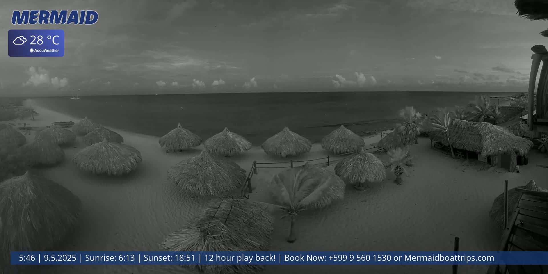 A beach at night with several thatched umbrellas under a partly cloudy sky, a calm sea, and palm trees.
