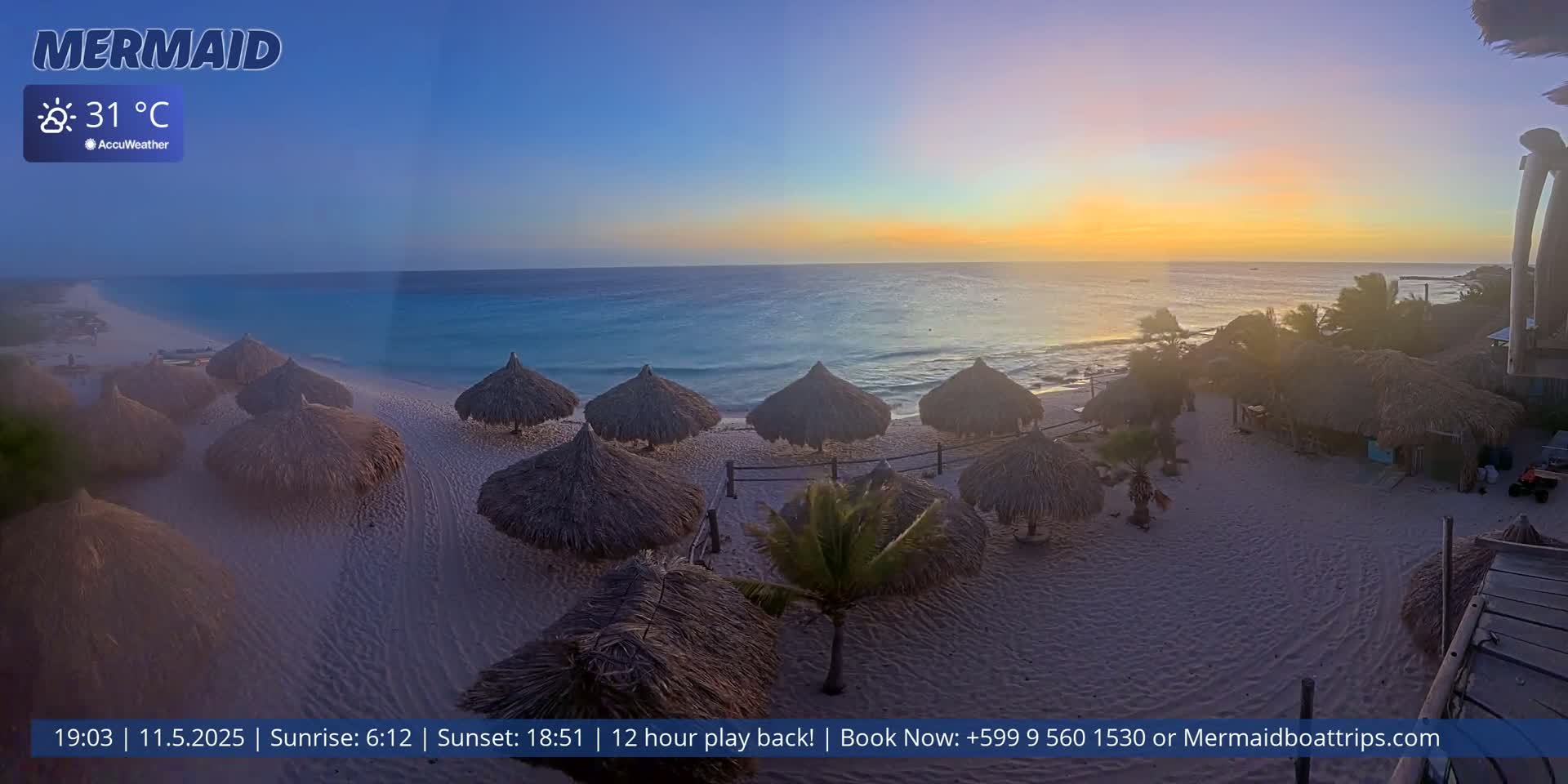 A sandy beach with numerous thatched umbrellas at sunset, under a clear sky, and a calm ocean in the background with a temperature of 31°C.