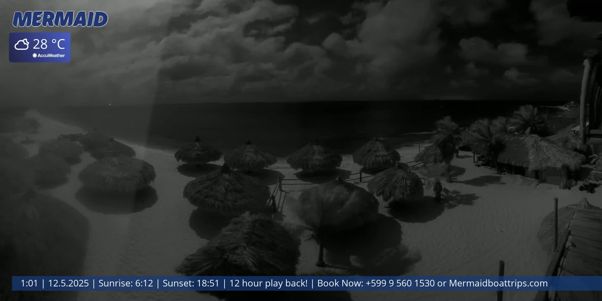 A nighttime beach scene under a cloudy sky shows several thatched umbrellas on the sand near palm trees and buildings.