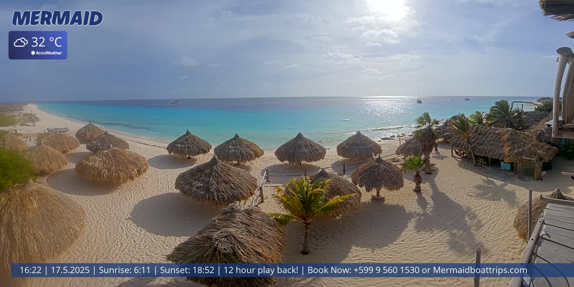 A sunny beach with turquoise water, numerous thatch-roofed beach umbrellas, and a few palm trees.