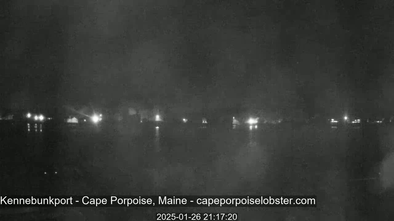 A nighttime, low-light view of a calm body of water with faintly visible lights across the far shore.
