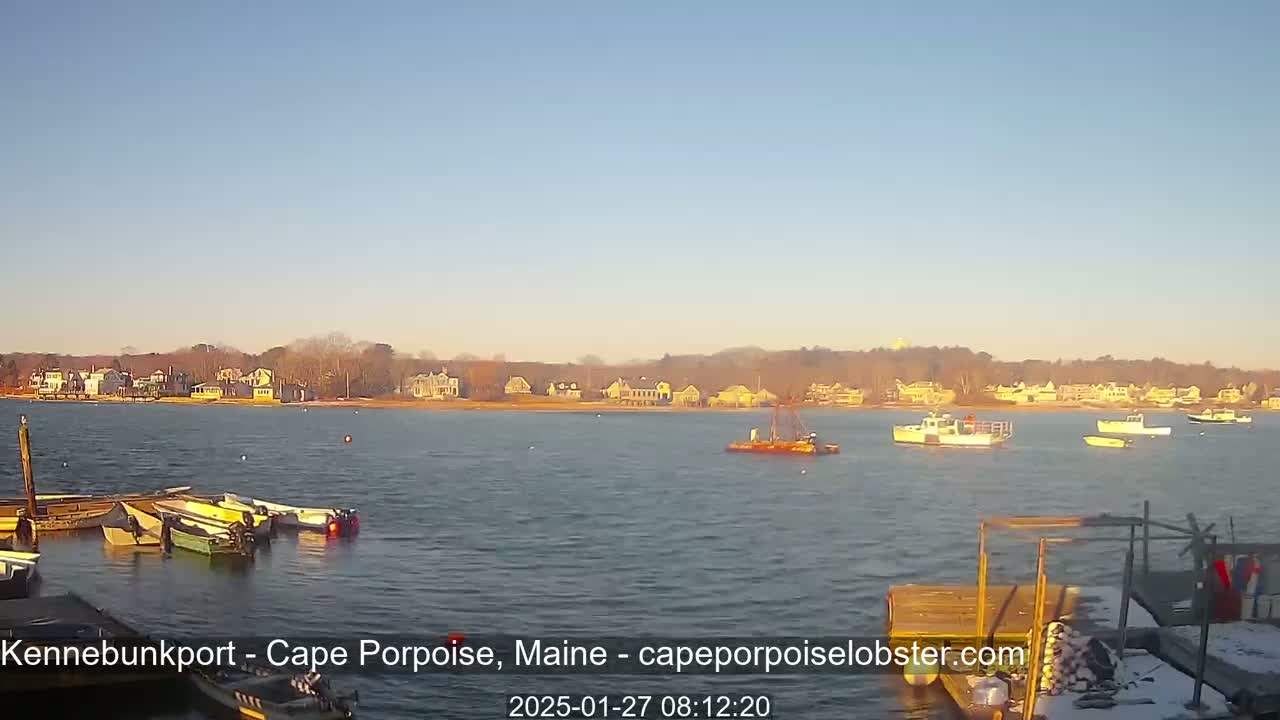 Several small boats are moored near a dock in calm water, with a shoreline of houses and trees visible in the distance under a clear, bright sky.