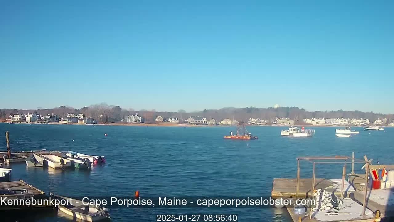 Under a clear blue sky, several boats are moored at a dock overlooking a calm body of water with houses and trees visible on the opposite shore.