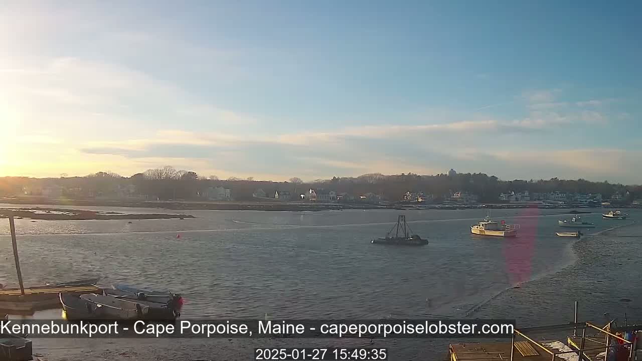 A calm body of water with several boats, including a small tugboat, is seen at sunset in front of a shoreline with houses and trees.