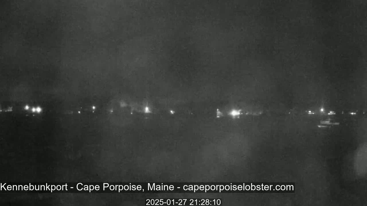 A nighttime, low-light image shows a line of distant lights across a dark landscape under an overcast sky.