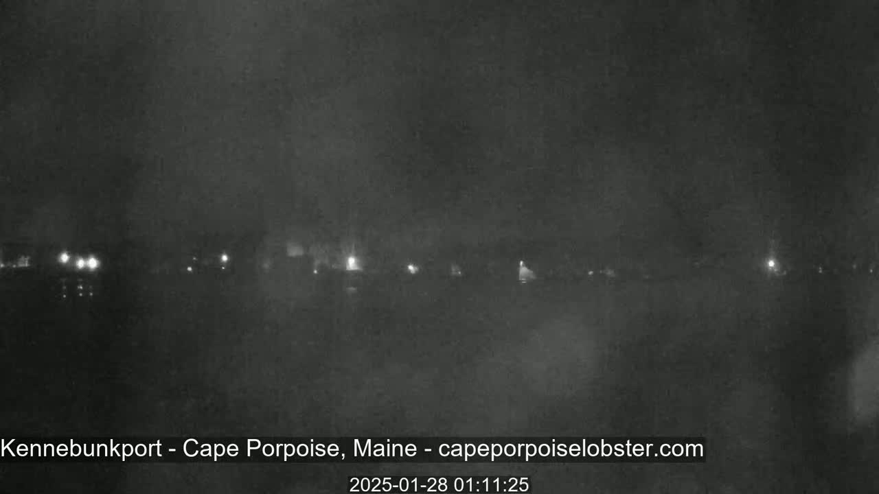 A nighttime, hazy view of a waterfront area with faintly visible lights across the water.
