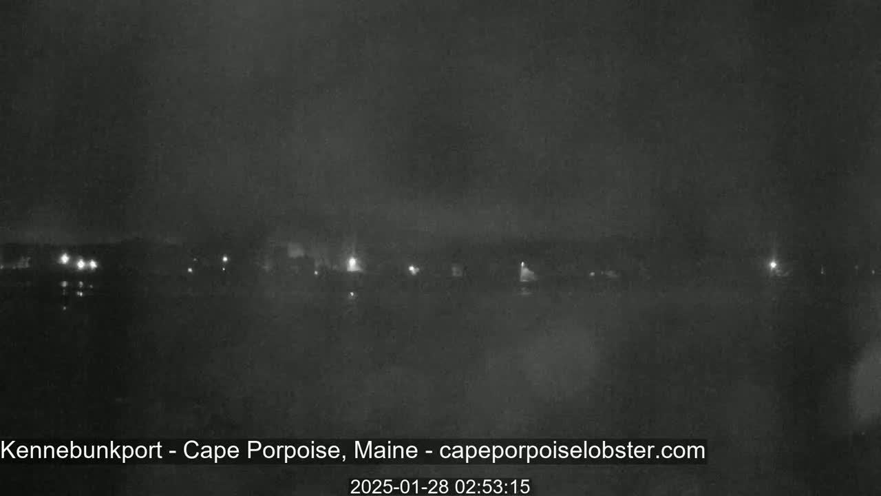 A nighttime, low-light view of a dark, possibly foggy, waterfront area with a few distant lights visible.