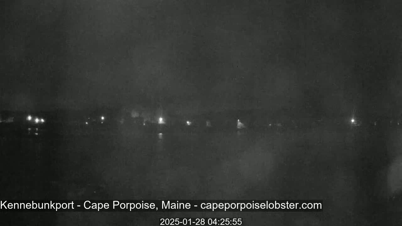 A dark, nighttime scene shows a dimly lit waterfront with faint lights visible in the distance under a hazy sky.