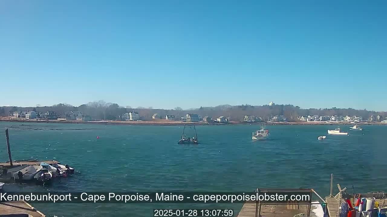 A calm, sunny day shows several boats in a bay, with a shoreline of houses and trees in the background.