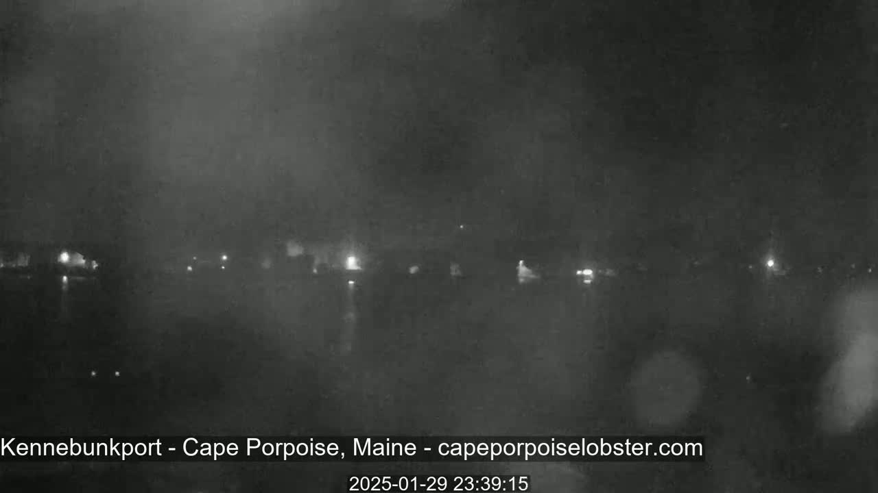 A nighttime, blurry view of a body of water with faint lights visible along the opposite shore under a dark, possibly foggy or hazy sky.
