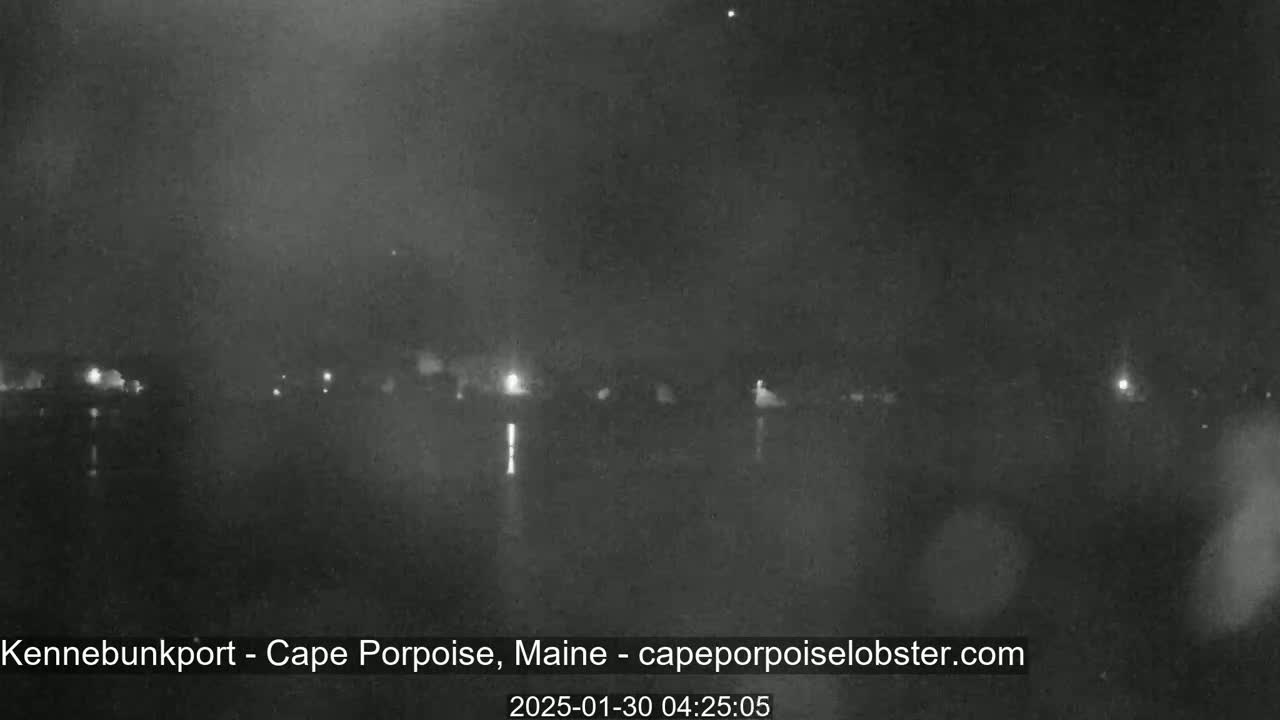 A nighttime, low-light view of a dark body of water with dimly lit buildings on the far shore.