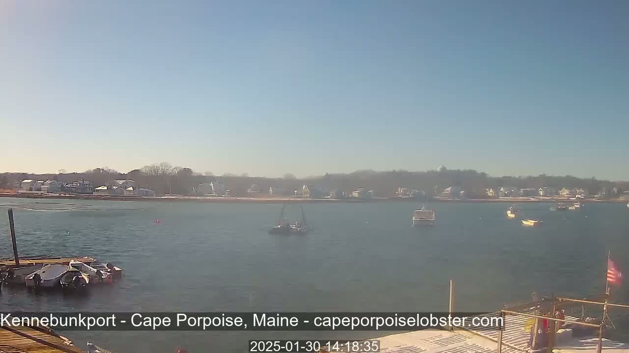 A calm, sunny day reveals a coastal scene with several boats on the water near a shoreline of houses and trees.