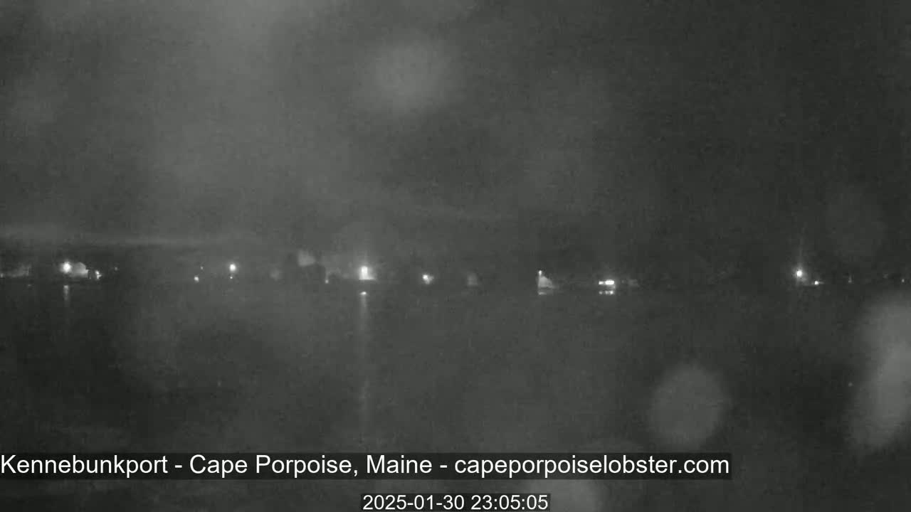 A nighttime, blurry view of a dark body of water with a line of dimly lit buildings in the distance under a hazy sky.