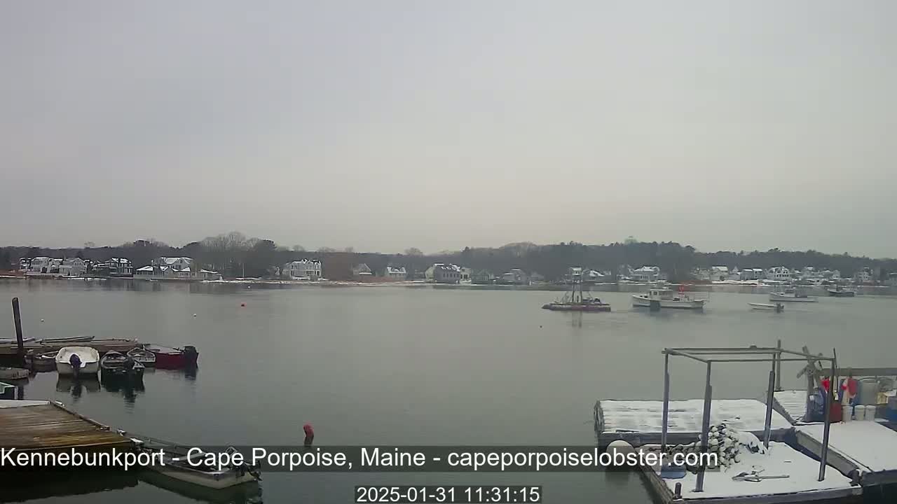 A calm, overcast day reveals a harbor scene with several boats moored near a snow-dusted dock and a shoreline of houses with snow-covered roofs and trees.