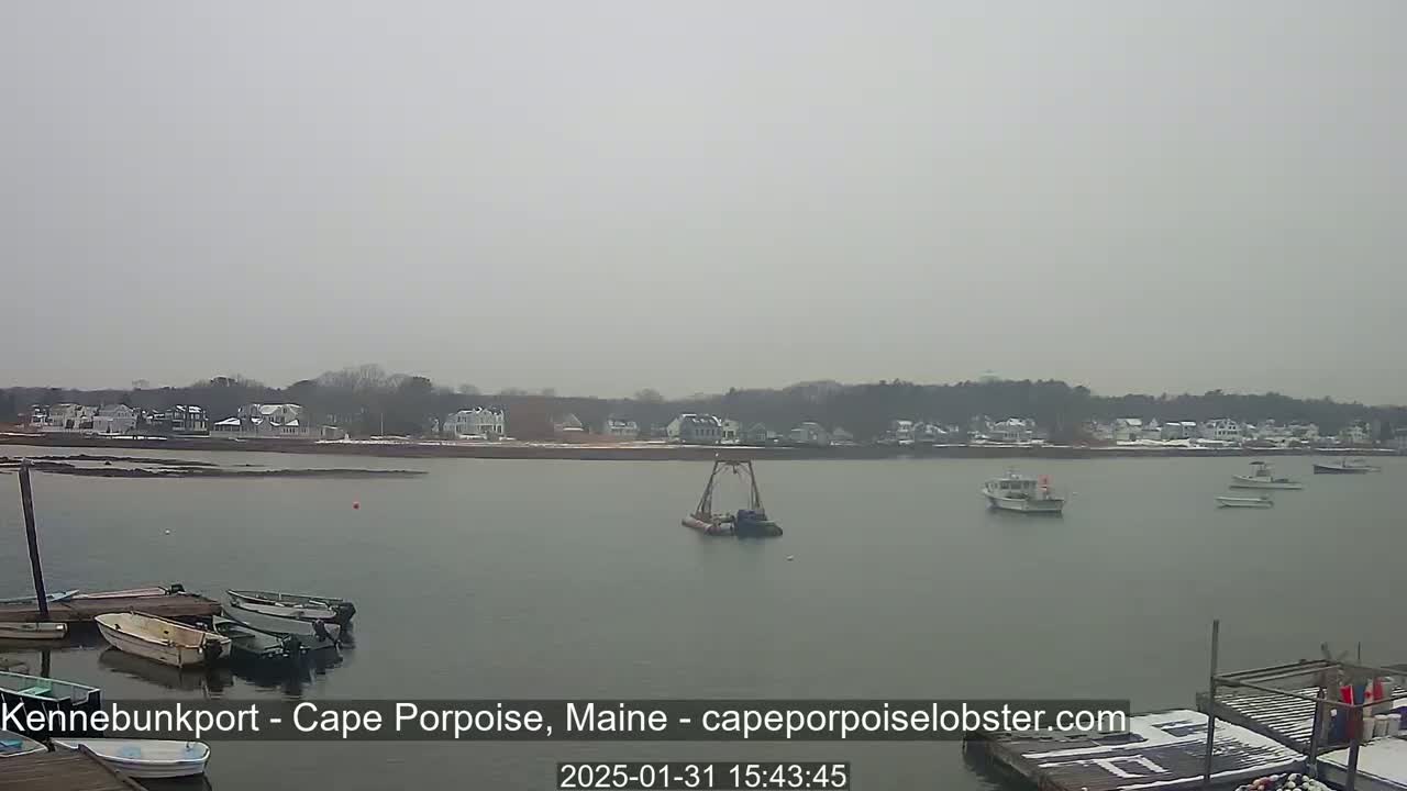A calm, overcast day shows a harbor with several small boats, a larger boat in the center, and a snow-dusted shoreline with houses in the background.