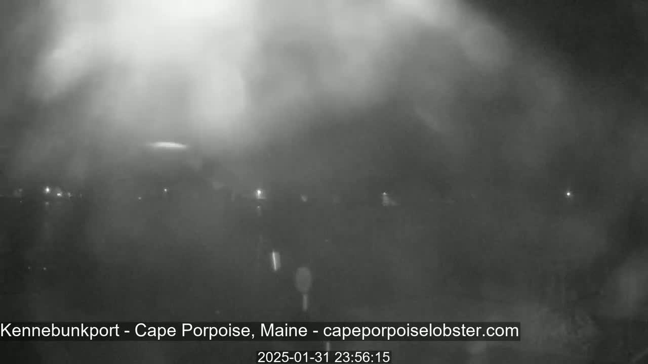 A nighttime, foggy scene shows a blurry view of distant lights.