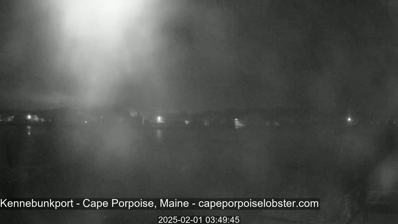 A nighttime, foggy view of a body of water with dimly lit buildings and structures in the distance.