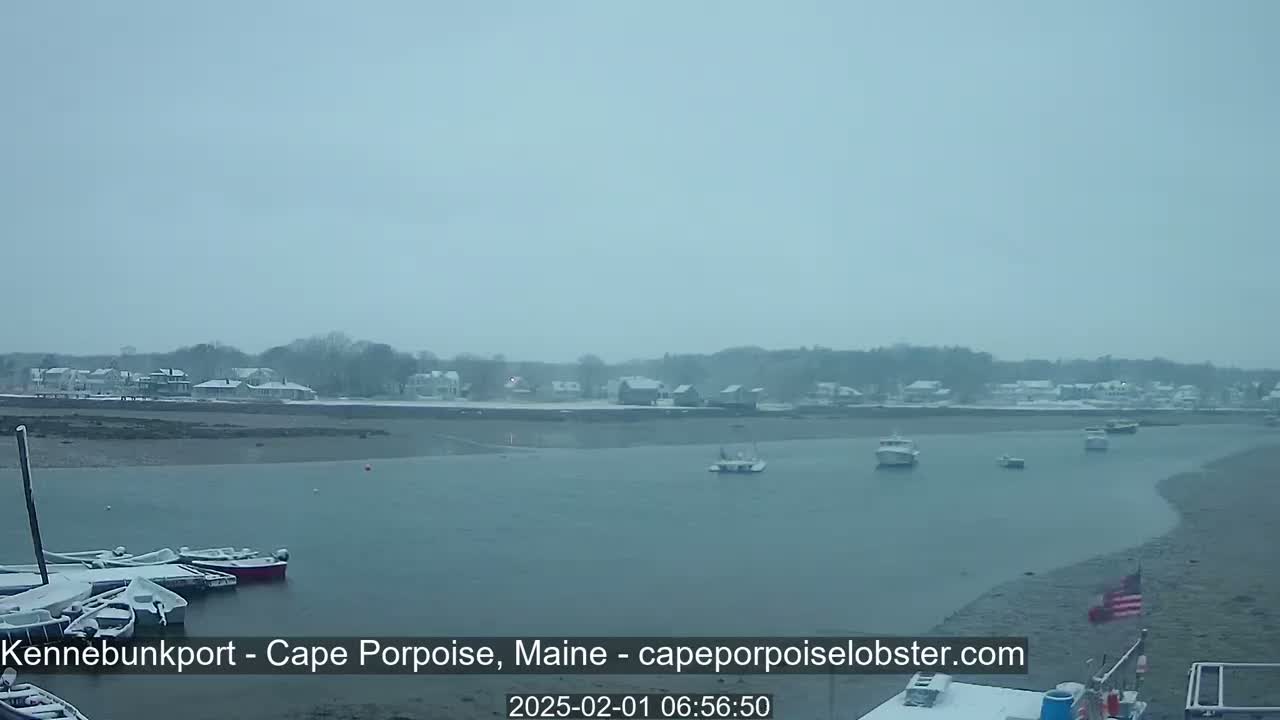 A snow-covered waterfront scene shows several boats in the water and more docked at a snow-covered shoreline, with snow falling lightly.