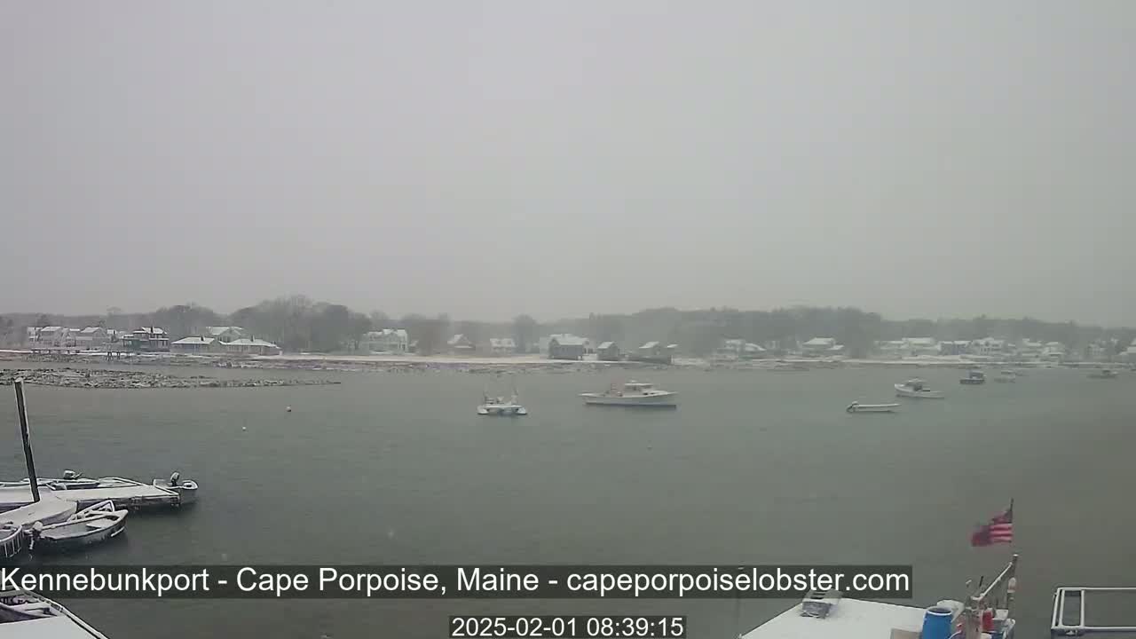A snow-covered harbor scene shows several boats moored in the water, with snow-covered houses visible in the background under a heavy, gray snow.