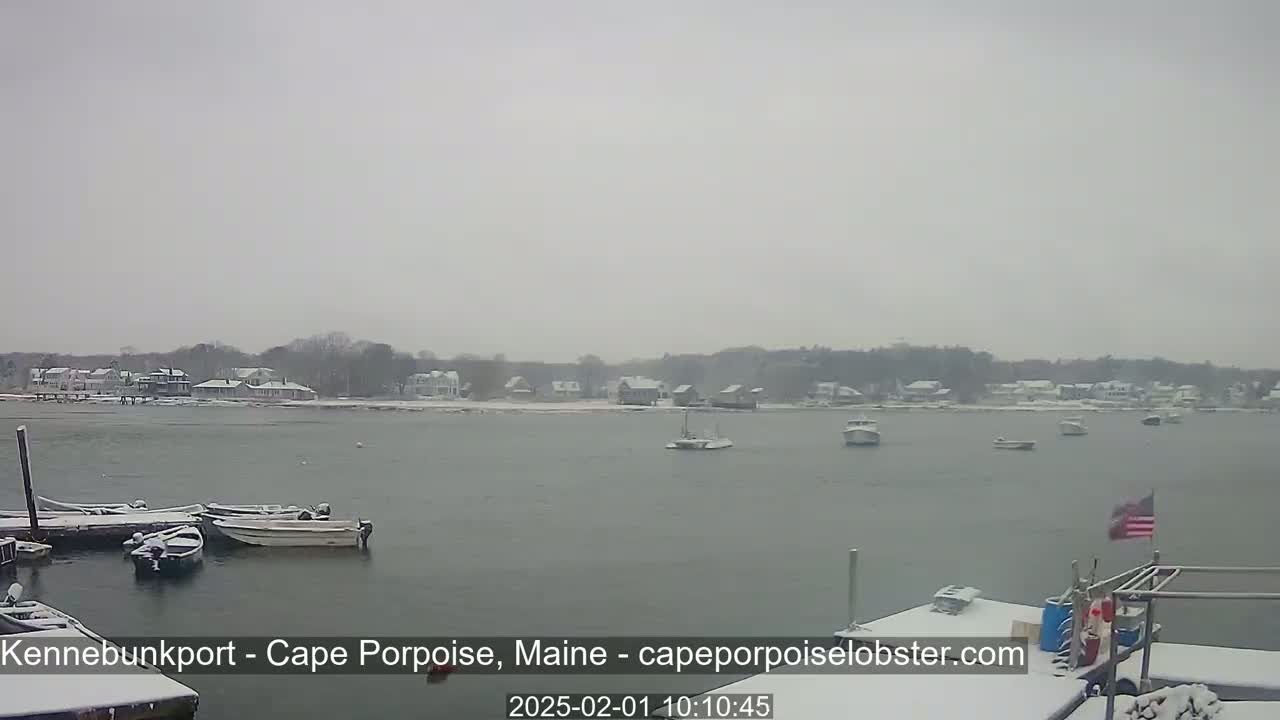 Snow falls lightly over a harbor scene with several boats moored at a dock and others in the water, across from a snow-covered shoreline with houses.