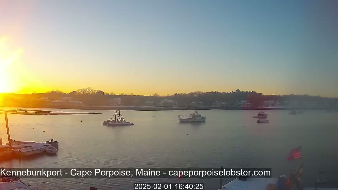 Several boats are in a calm harbor at sunset, with a shoreline of houses and trees visible in the background under a clear sky.