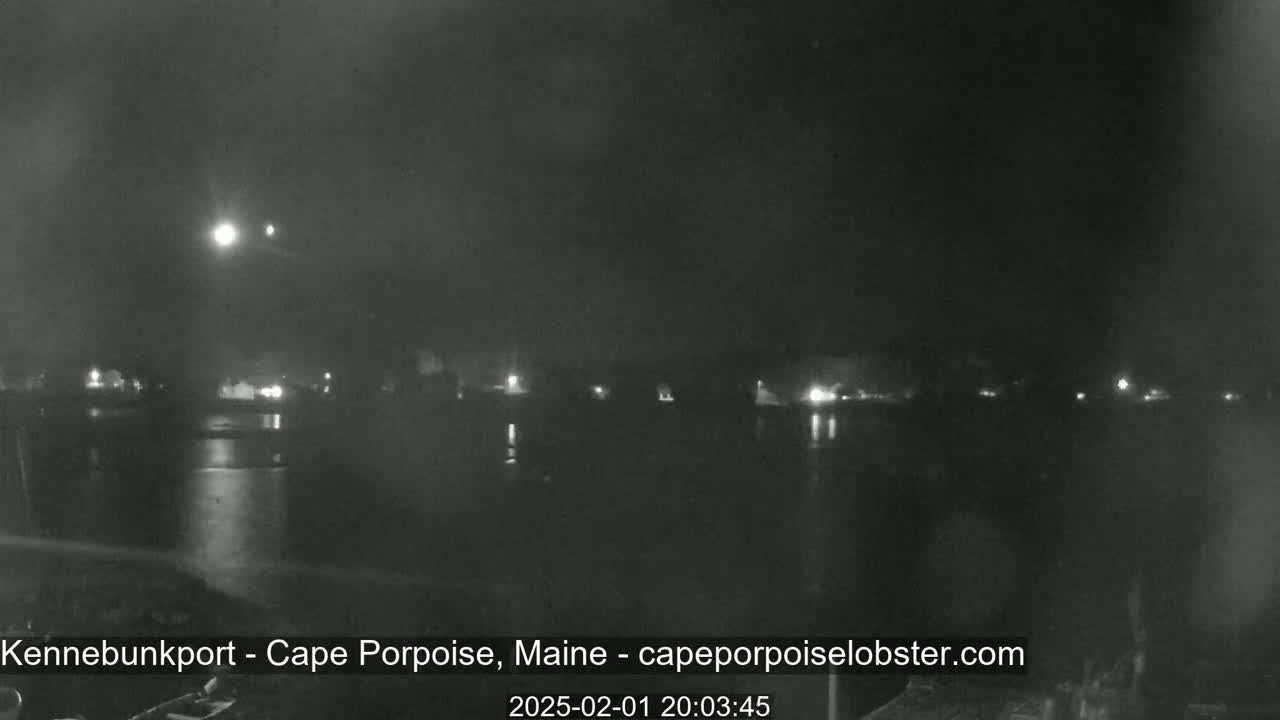 A nighttime, dark view of a calm body of water with faint lights across the far shore under a cloudy sky.