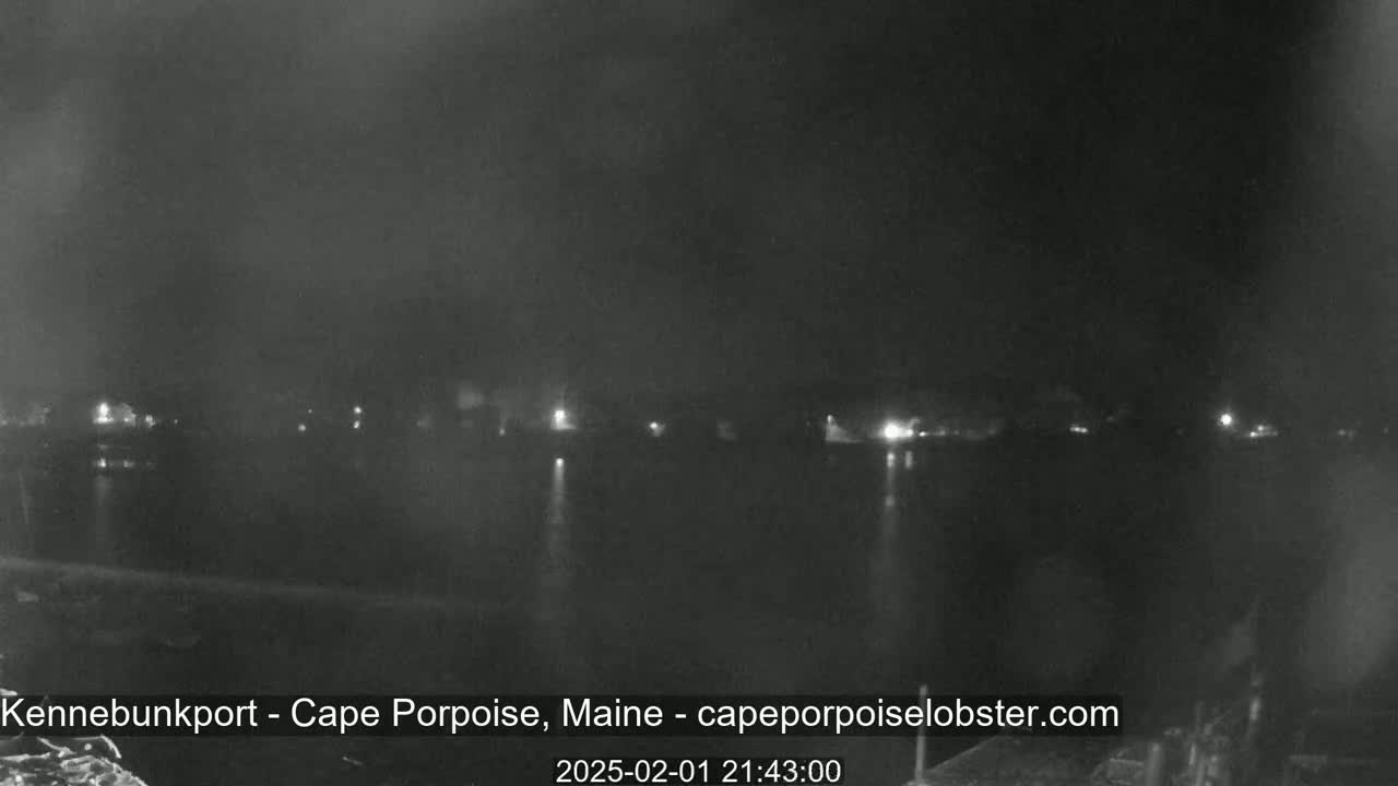 A nighttime, low-light view of a calm body of water with faintly visible lights on the far shore.