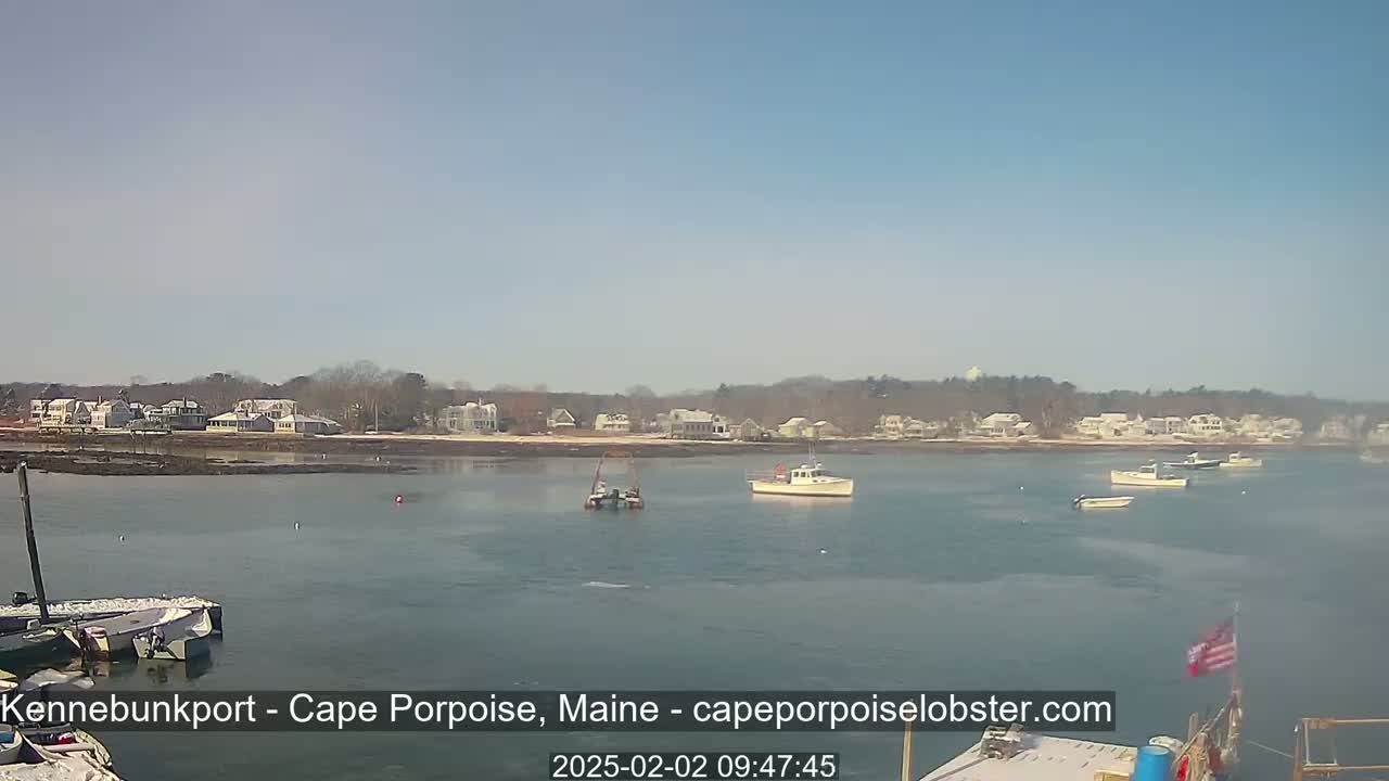 A calm, sunny day shows several small boats in a harbor, with a shoreline of houses and trees in the background.