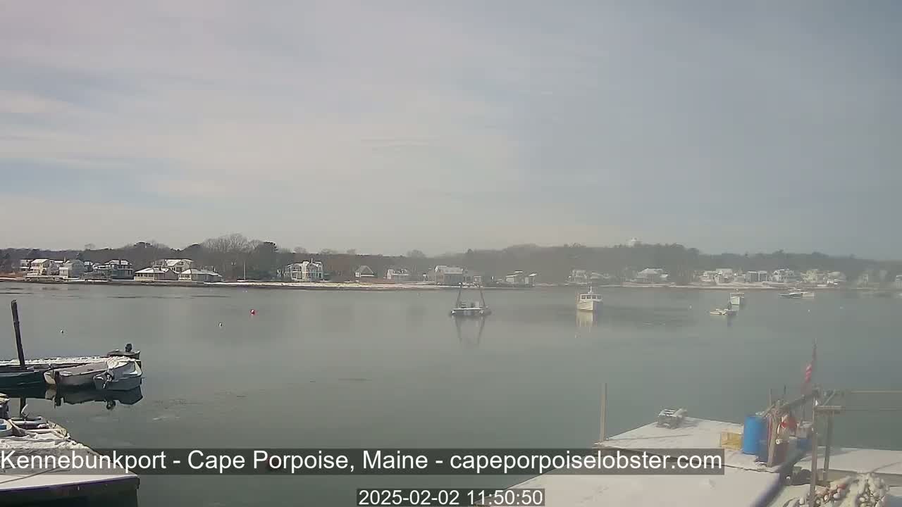 A hazy, calm body of water with several small boats at a dock and others moored further out, in front of a shoreline with houses and trees.