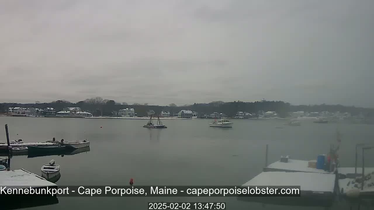 A snow-covered waterfront scene shows several boats moored at a dock, with a few more boats further out on the calm water, and houses across the water under a cloudy sky.