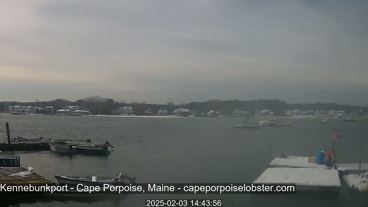 A calm body of water with several small boats moored at a snow-dusted dock, overlooking a shoreline of snow-covered houses and trees under an overcast sky.