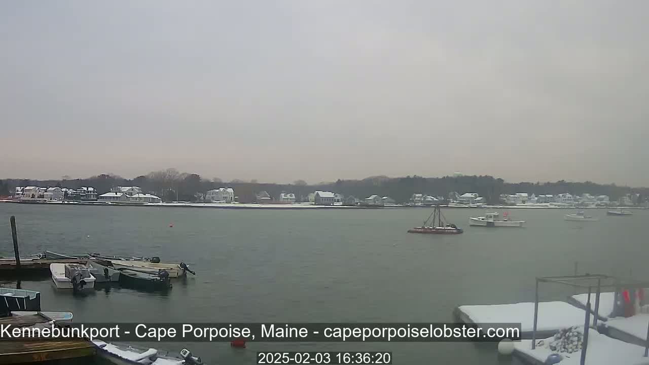 A calm body of water with several boats moored at a dock and a few others on the water, with a snow-covered shoreline in the background under an overcast sky.