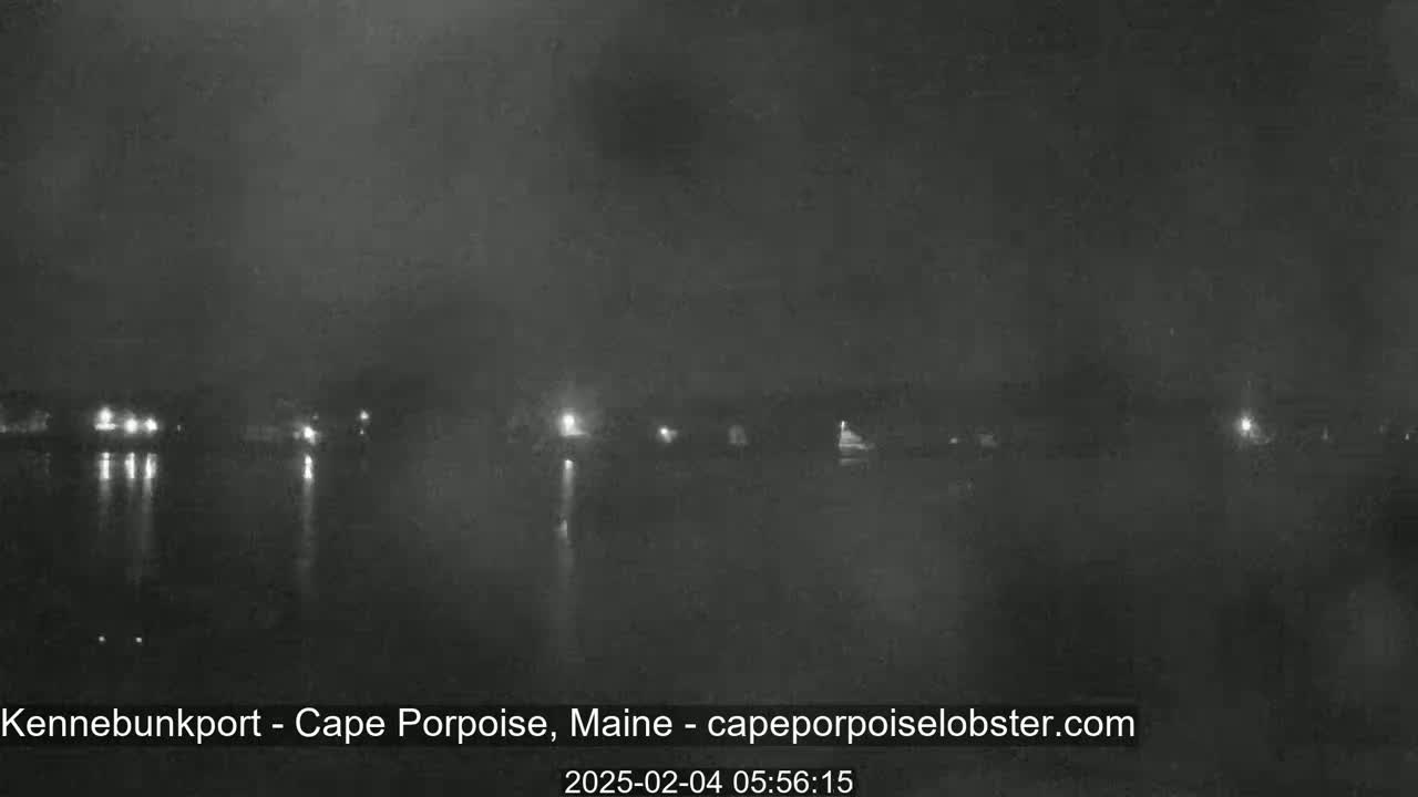 A nighttime, foggy view of a calm body of water with dimly lit buildings and lights reflecting on the water in the distance.