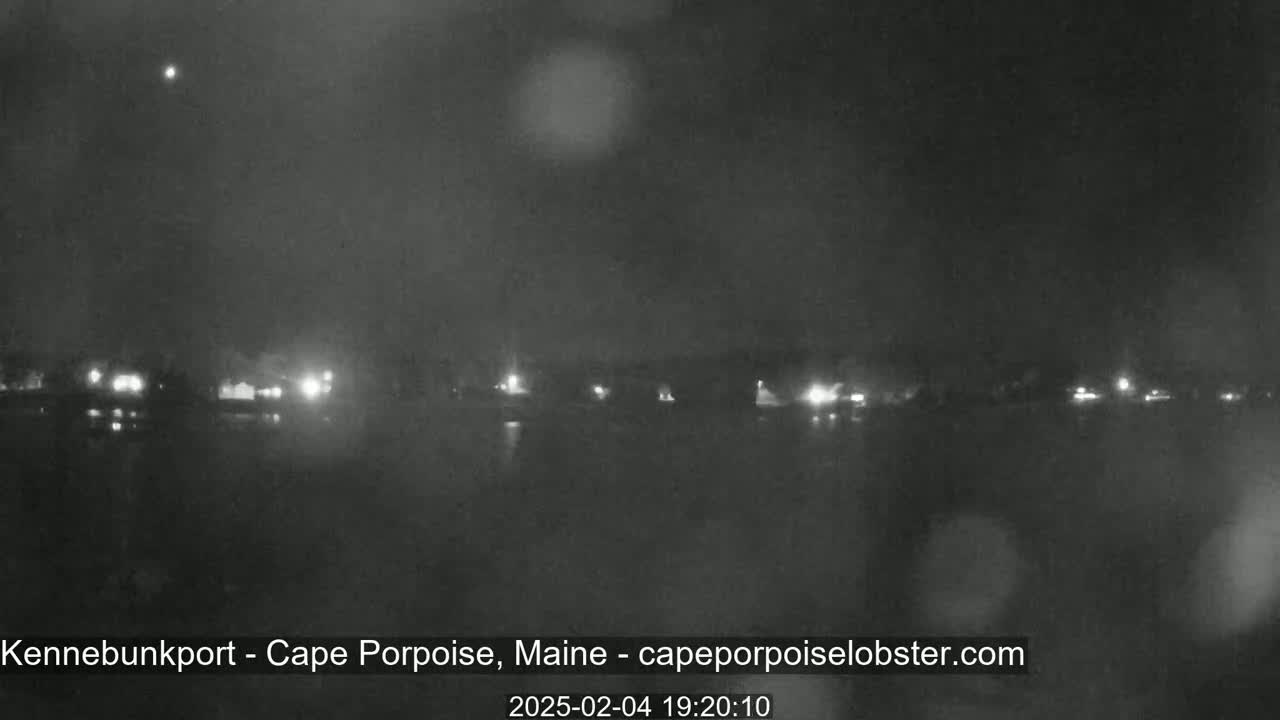 A nighttime, possibly rainy, long shot of a dark body of water with a line of dimly lit buildings across the far shore.