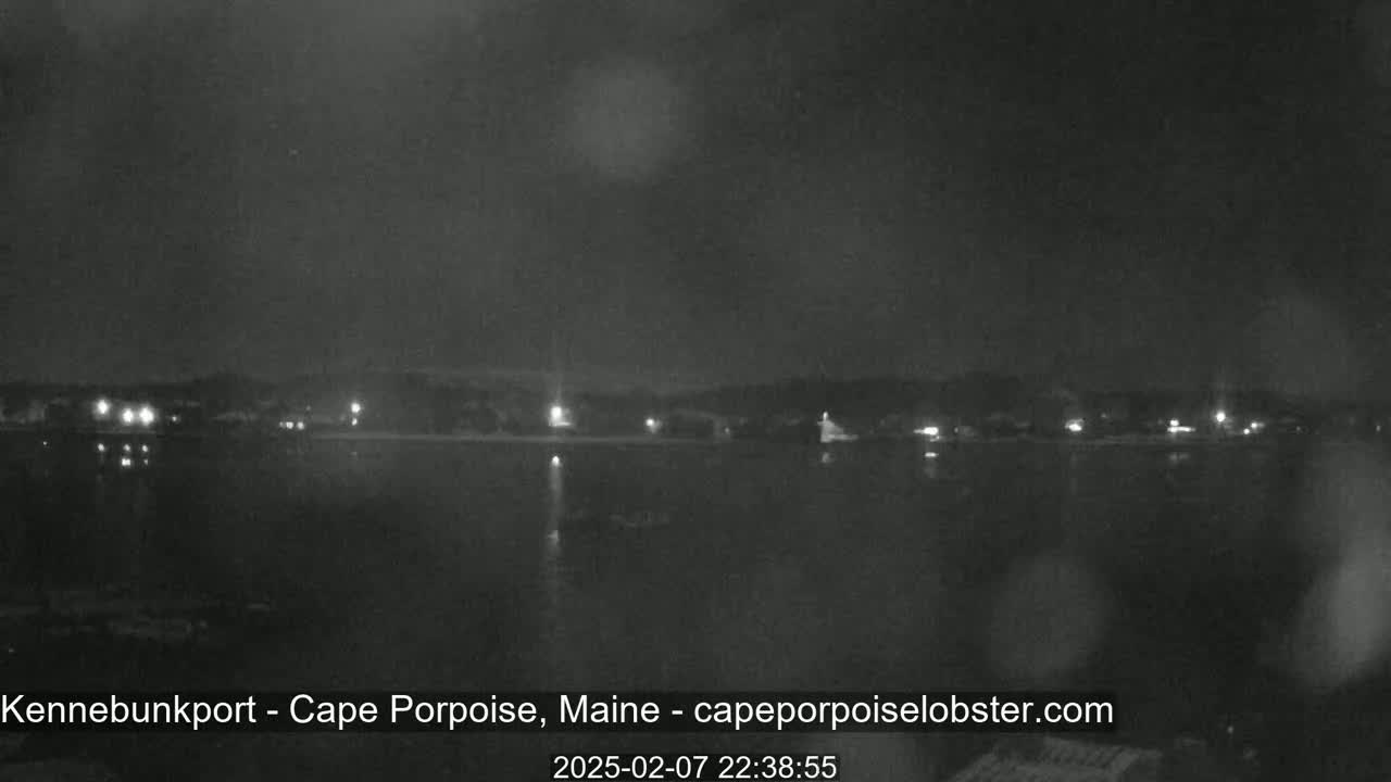 A nighttime view of a calm body of water with a dimly lit shoreline in the distance.